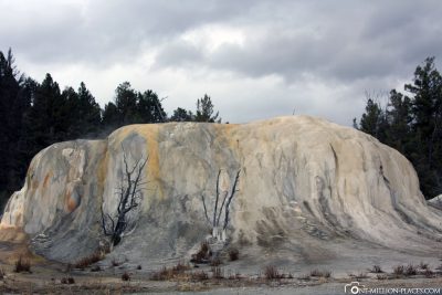 The Mammoth Hot Springs