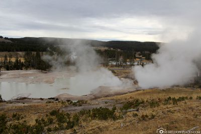 The Mud Volcano Area