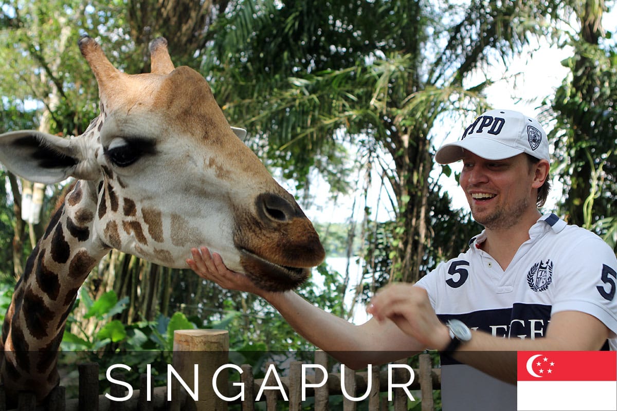 Singapur Zoo Titelbild