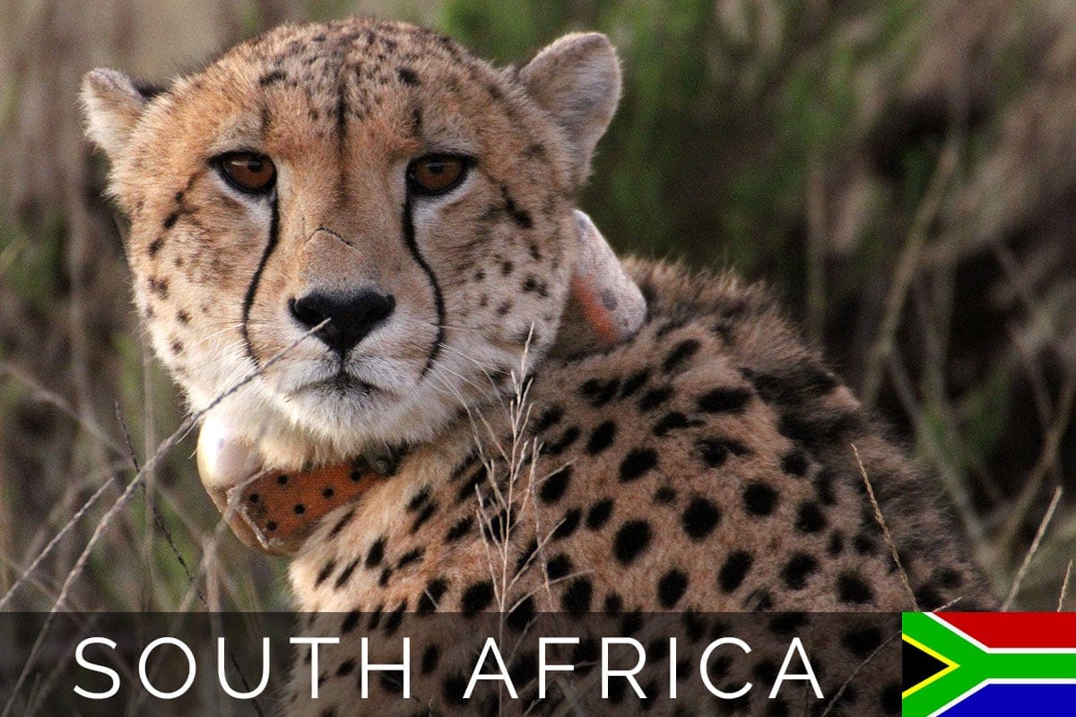 South Africa Godwana Blog Post