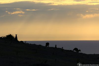 Eine tolle Abendstimmung