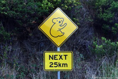 Achtung Koalas