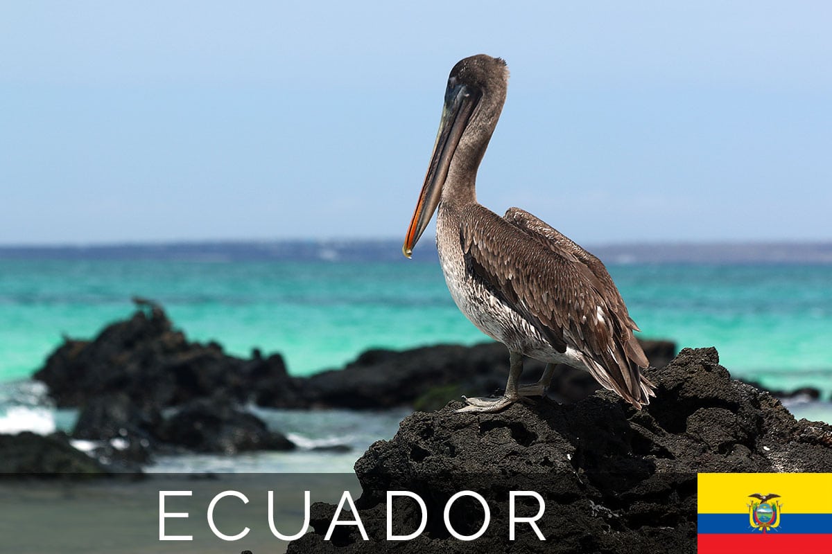 Galapagos Bachas Beach cover