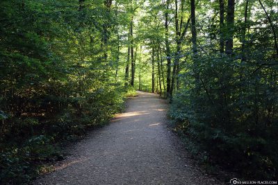 Der Fußweg zur Burg Eltz
