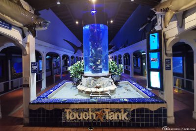 Key West Aquarium