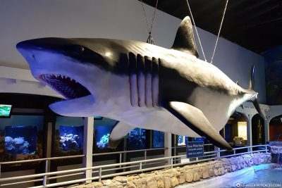 Key West Aquarium