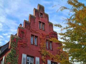Former Mainz Cathedral Cellar