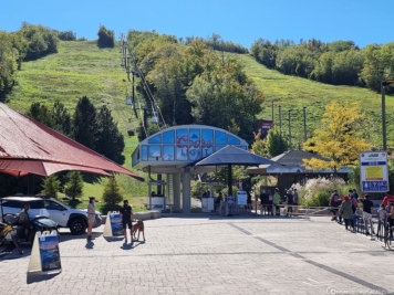 Blue Mountain Silver Bullet 