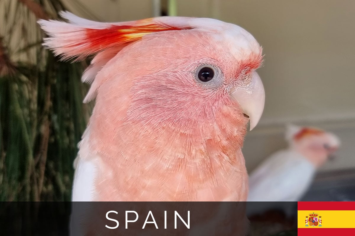 Loro Park Tenerife Blog Post