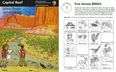 Junior Ranger booklet